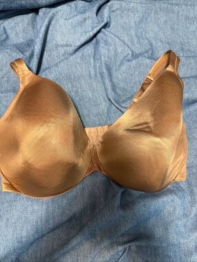 Cacique Smooth Brown T-Shirt Bra
